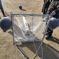 Trawl net POSEIDONpollution control