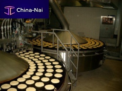Snack frying line DRL2500 series