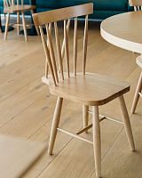 Contemporary dining chair R&Bindooroakash
