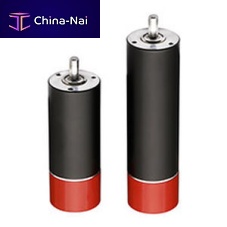 DC servomotor RPX22brushless24 V48 V