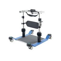 Balance rehabilitation system corocomputer-assisted