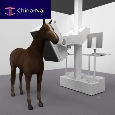 Veterinary CT scanner for equines
