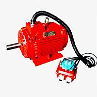 Smoke and heat exhaust ventilation system motor D1CS seriesthree-phaseasynchronous400 V