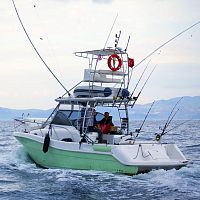 Inboard day fishing boat BONITO 32 IBopenflybridgefiberglass