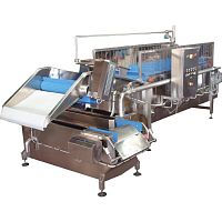 Washing tank CHIOSfor fruitwith filter