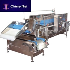 Washing tank CHIOSfor fruitwith filter