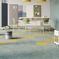 Tufted carpet ESSENCE ROOTSTextilene®commercialplain