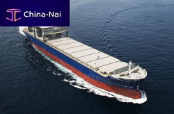 Bulk carrier cargo ship 49k OHGCC