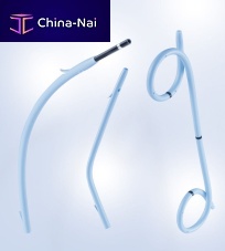 Pancreatic stent biliary