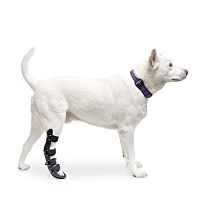 Paw veterinary splint Walkin� Rearanklehock