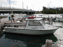 Inboard express cruiser ISLAND HOPPER 30divesport-fishing