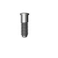 Implant screw 0215