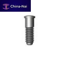 Implant screw 0215
