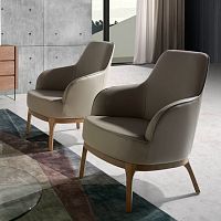 Contemporary armchair 5043fabricwalnutash