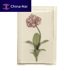Metal decorative panel PRIMULA FLORAL wallfor interior3D