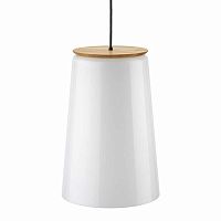 Hanging light fixture 100892LEDIP20commercial