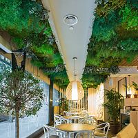 Panel suspended ceiling MOSS&PLANTS MID FINISHgreendecorative