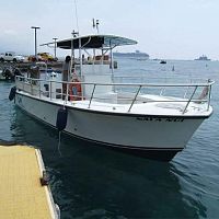 Inboard center console boat 31' dieseldivewith T-top