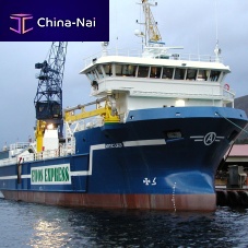 Bulk carrier cargo ship ARCTIC LADY