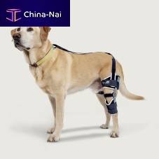 Dog veterinary orthosis Balto® Ligatekkneearticulated