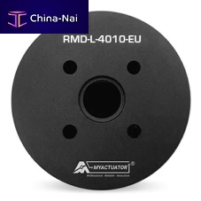Pancake type motor RMD-L-4010-EUDCbrushless12 V