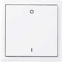 Wireless switch Mini BLErocker2-polesingle-pole