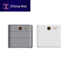Lithium iron phosphate energy storage system