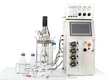 Batch bioreactor / fermentor continuouslaboratoryprocess
