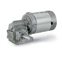 AC gear-motor AOMPI40DCpermanent magnetworm