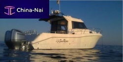 Outboard express cruiser 900 Fisher Protwin-enginehard-top4-berth