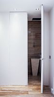 Interior door woodenswingwithout glazing