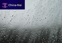 Window adhesive film for ships