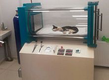 Mobile veterinary hyperbaric chamber VETA - Seriesfor small animals