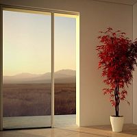 Sliding screen fixedfor doors