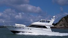Sport-fishing motor yacht MELRINIwith enclosed flybridgeplaning hull