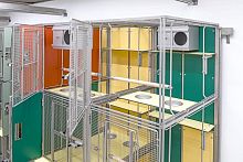 Primate animal enclosure Marmosets
