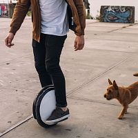 Segway© One S1