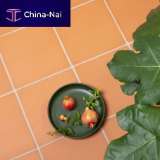 Indoor tile ANTICAoutdoorgardenwall