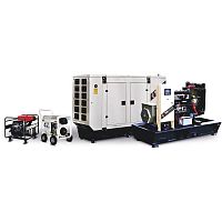 Diesel generator set TMGL-250three-phasestationary50 Hz