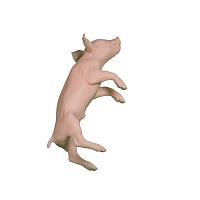 Veterinary training manikin pigpink