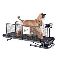 Dog veterinary treadmill Professional