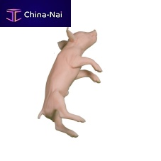 Veterinary training manikin pigpink
