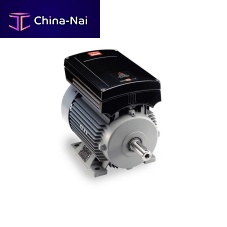 Motor with frequency converter VLT® FCM 300three-phaseinduction480 V
