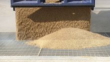 Filter screener
