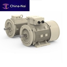 AC motor inductionIP55