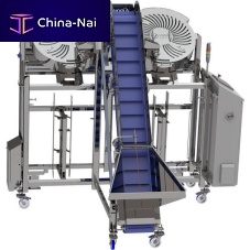 Inclined bagging machine 2PA 800flow-packthermoformingautomatic