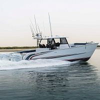 Catamaran express cruiser SilverCat 40CCoutboardfour-enginehard-top