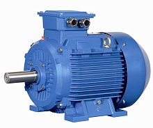 Permanent magnet motor YXTY seriesthree-phasebrushless220 V