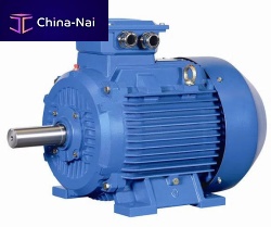 Permanent magnet motor YXTY seriesthree-phasebrushless220 V
