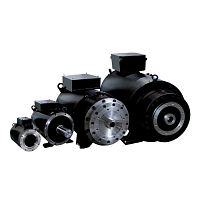 High-torque motor DST2 seriesACsynchronous400 V